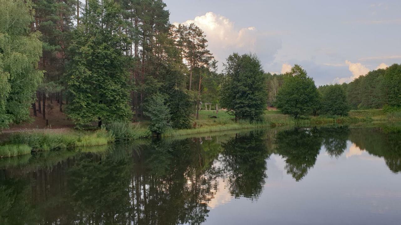 Garden Studio By The Lake With Air-Con And Infrasauna Druskininkai Exterior photo